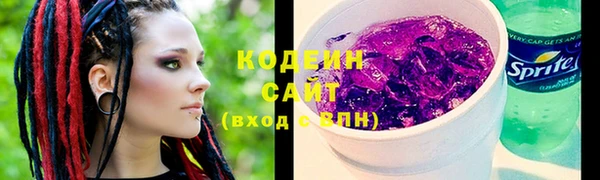 индика Осинники