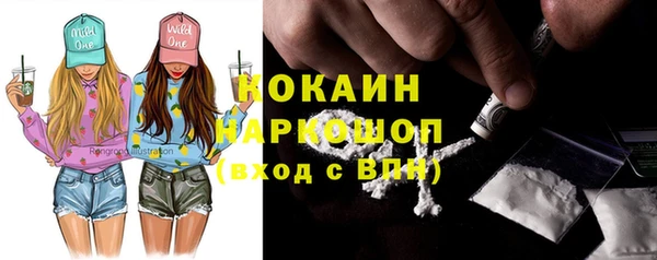 индика Осинники