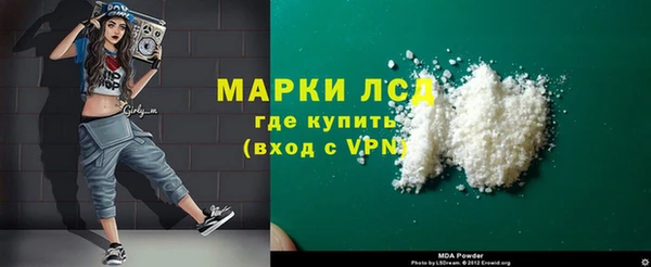 индика Осинники