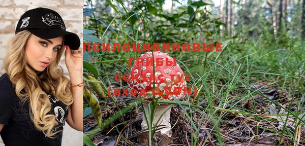 мяу мяу мука Заводоуковск