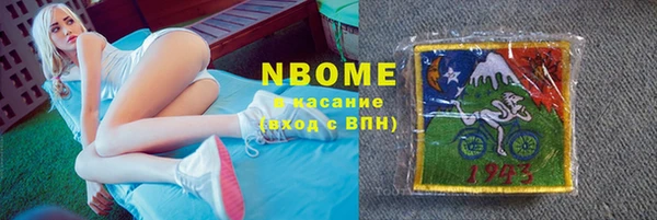 индика Осинники