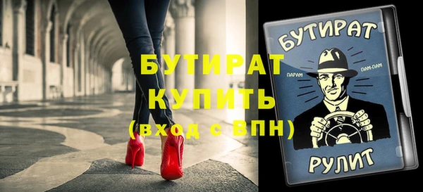 индика Осинники