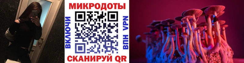 где купить наркоту  Оренбург  Галлюциногенные грибы прущие грибы 